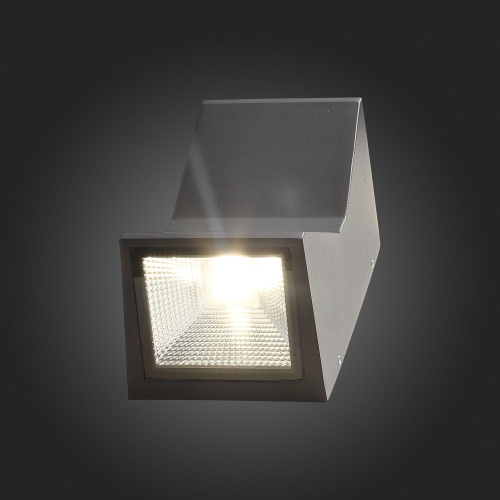SL088.431.02 Светильник уличный настенный ST-Luce Черный кварцевый LED 2*7W 4000K DEALE фото 9