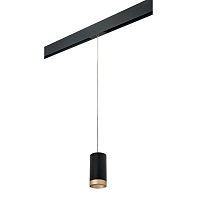 Комплект с трековым светильником Lightstar Rullo (214437+595857+203440) PRORP43740