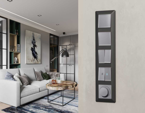 Комплект механизма 1-клавишного выключателя с самовозвратом Ambrella Volt ALFA Сталь матовый QUANT (AP5010, VM113) MA501050 фото 5