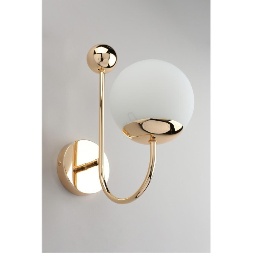 Светильник настенный (Бра) OML-67001-01 фото 6