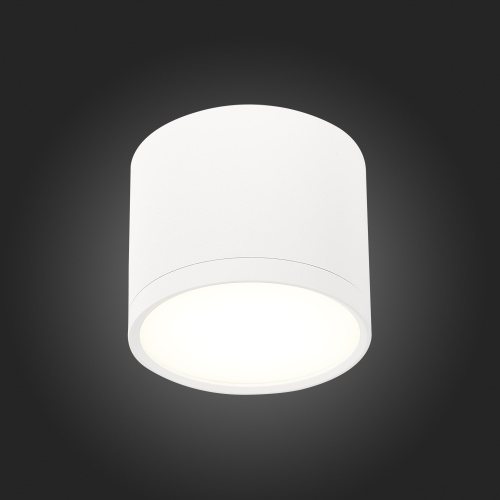 ST113.542.09 Светильник потолочный Белый LED 1*9W 4000K 702Lm Ra>90 120° IP20 D88xH75 170-240V Накладные светильники фото 6