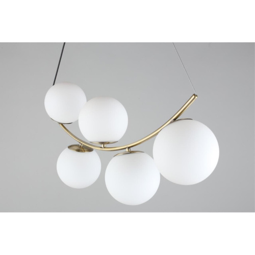 Люстра подвесная OML-94903-05 фото 7