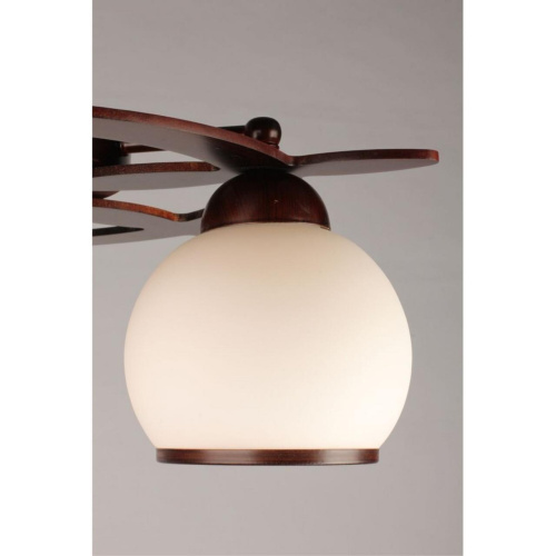 Люстра потолочная OML-50507-03 фото 4 Люстра потолочная OML-50507-03 фото 4