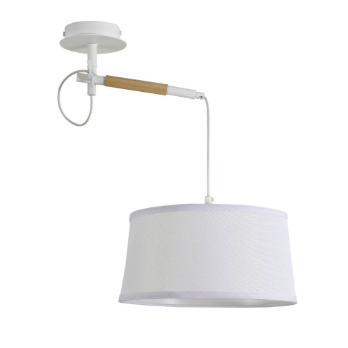 Подвесной светильник F-Promo Eureka 3005-1P фото 8