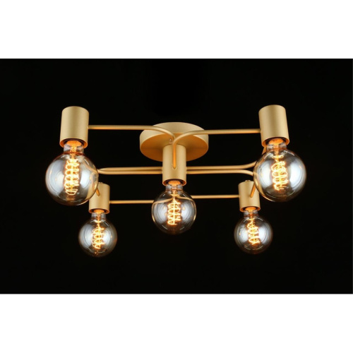 Люстра потолочная APL.911.07.05 фото 9