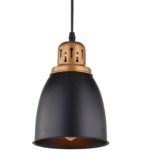 Подвесной светильник Arte Lamp Eurica A4248SP-1BK фото 2