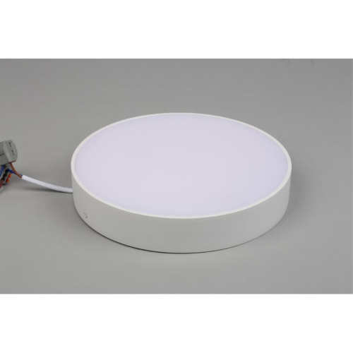 Светильник настенно-потолочный APL.0113.09.24 фото 6