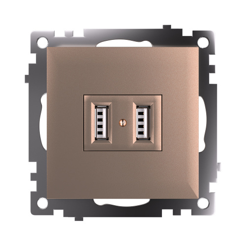 Розетка USB 2-местная (механизм), STEKKER GLS10-7115-02, 250B, 2,1A, серия Катрин, шампань фото 5