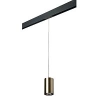 Комплект с трековым светильником Lightstar Rullo (214431+595857) PRORP431