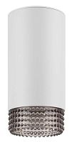 Накладной светильник ЭРА OL40 WH/GR Б0058478