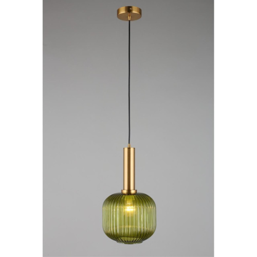 Светильник подвесной OML-99436-01 фото 4