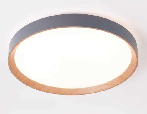 Потолочный светодиодный светильник Ambrella light Orbital Design FZ1322 фото 5