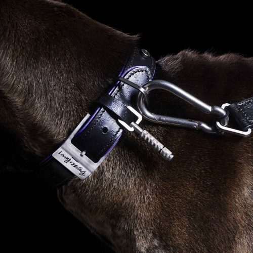 Ошейник Dog Collar Steel фото 4