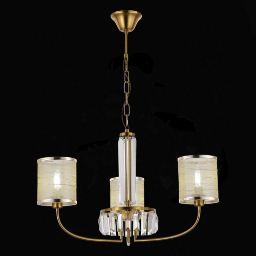 Подвесная люстра Evoluce Ellisse SLE1119-303-03 фото 5 Подвесная люстра Evoluce Ellisse SLE1119-303-03 фото 5