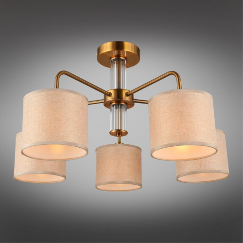 Люстра потолочная OML-56907-05 фото 9