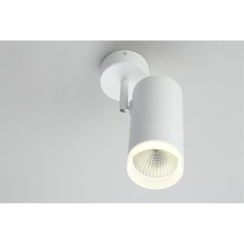 Светильник настенно-потолочный OML-102609-20 фото 6