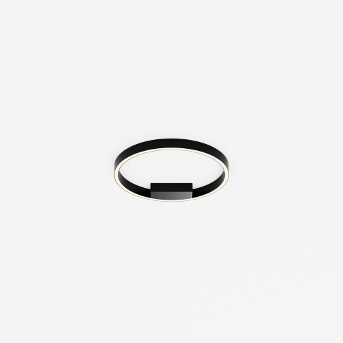 Потолочный светильник Maytoni MOD058CL-L25BK фото 3