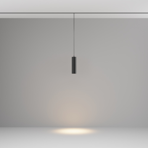 Трековый подвесной светильник Technical TR041-2-12W3K-B фото 3