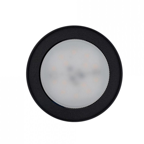 Потолочный светильник Nowodvorski Flea 8203 фото 2