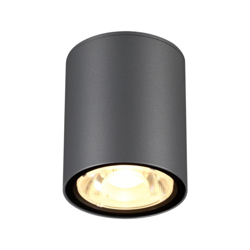 Уличный светодиодный светильник Novotech Street Tumbler 358011 фото 4