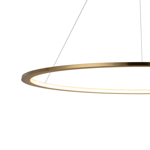 10014XL Подвесной светильник LOFT IT Ring фото 6 10014XL Подвесной светильник LOFT IT Ring фото 6