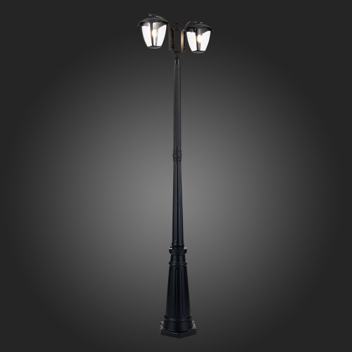 SL081.405.02 Светильник уличный наземный ST-Luce Черный/Черный, Прозрачный E27 2*40W SIVINO фото 4