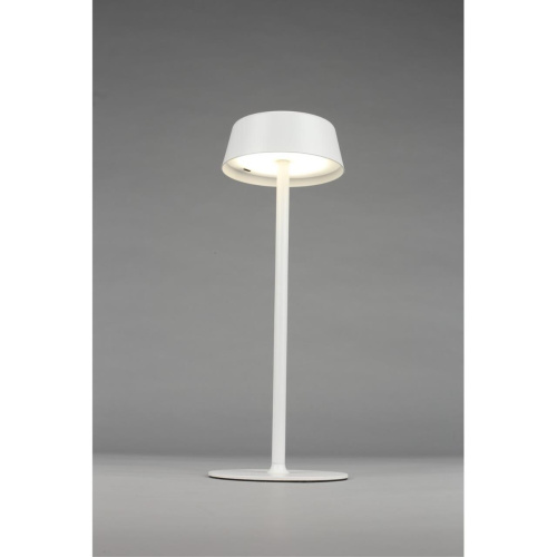 Настольная лампа OML-40514-01 фото 8