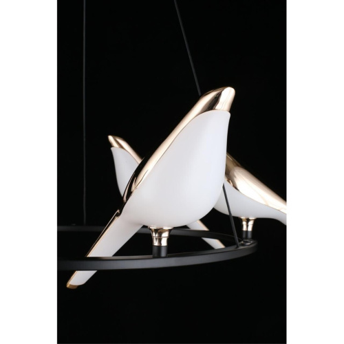 Люстра подвесная APL.822.03.60 фото 7 Люстра подвесная APL.822.03.60 фото 7