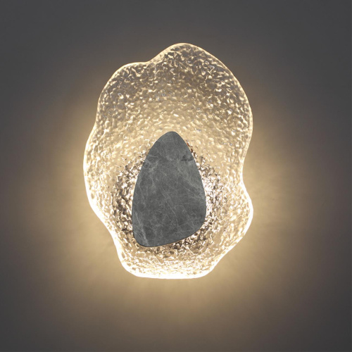 Настенный светодиодный светильник Odeon Light Coralla L-Vision 5461/12WLB фото 3