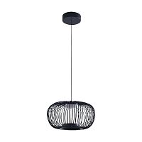 Подвесной светодиодный светильник Arte Lamp Flare A3527SP-12BK