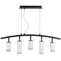 Комплект с подвесной люстрой Lightstar Rullo (571735+214436-3+214486-2+202430-5) LR7353638620