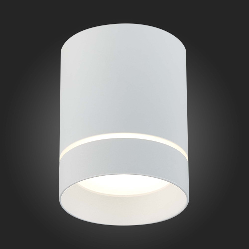 ST115.542.12 Светильник потолочный Белый LED 1*12W 4000K 840Lm Ra>90 120° IP20 D79xH100 170-240V Накладные светильники фото 4