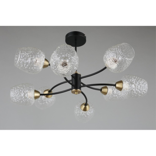 Люстра потолочная OML-67807-08 фото 9 Люстра потолочная OML-67807-08 фото 9