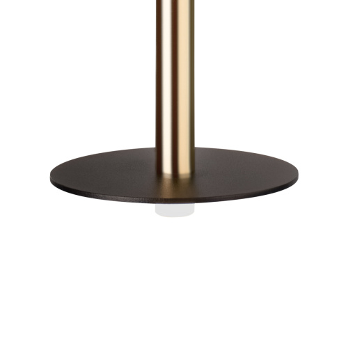 10358/830 Disk AB Подвесной светильник LOFT IT Reed фото 8 10358/830 Disk AB Подвесной светильник LOFT IT Reed фото 8