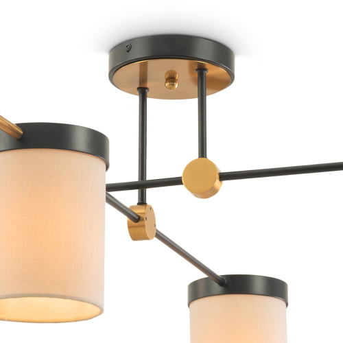 Потолочный светильник Freya FR5377CL-04B фото 4