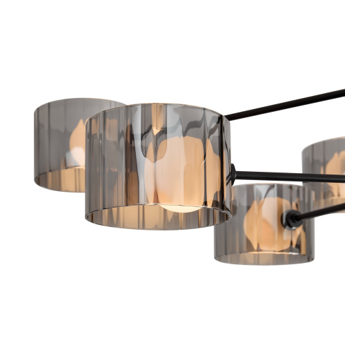 Потолочный светильник Freya FR5544CL-10B фото 5