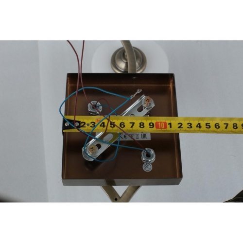 Люстра потолочная OML-55317-02 фото 4 Люстра потолочная OML-55317-02 фото 4