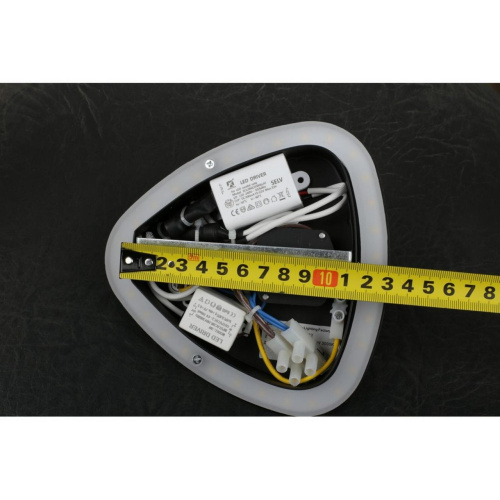 Светильник настенный (Бра) OML-20821-02 фото 2