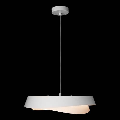 10256P White Подвесной светильник LOFT IT Petale фото 2 10256P White Подвесной светильник LOFT IT Petale фото 2