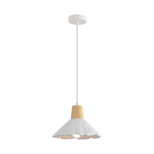Подвесной светильник Lumion SUSPENTIONI 8352/1A