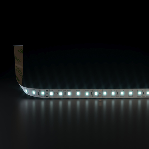 Светодиодная лента 24 В 9,6 Вт/м 120 Led/м 2835 IP20, холодный белый 6500K, 5 м Лента светодиодная 24V 9,6W 120Led 2835 IP20 холодный белый, 5м фото 2