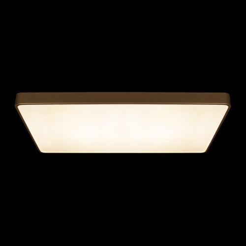 10228/E Потолочный светильник LOFT IT Flims фото 4 10228/E Потолочный светильник LOFT IT Flims фото 4