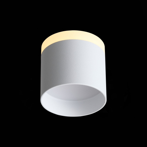 ST102.502.09 Светильник потолочный Белый LED 1*9W 3000K 702Lm Ra>80 120° IP20 D79xH75 170-240V Накладные светильники фото 4