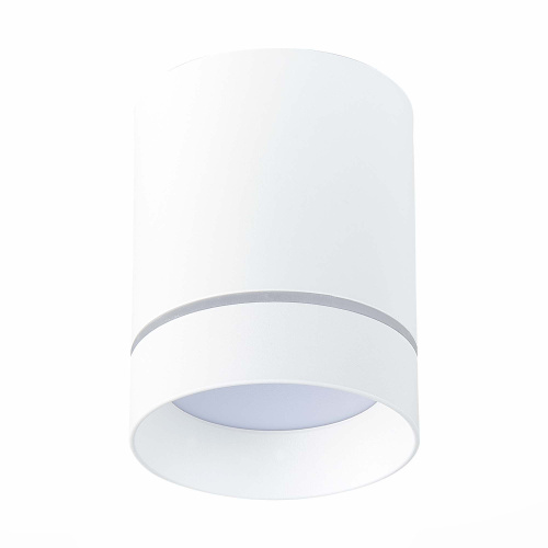 ST115.532.12 Светильник потолочный Белый LED 1*12W 3000K 840Lm Ra>90 120° IP20 D79xH100 170-240V Накладные светильники фото 2