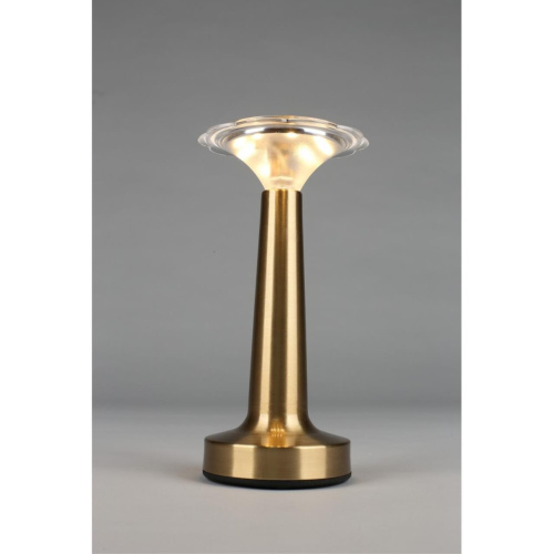 Настольная лампа OML-40204-01 фото 6