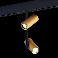 ST808.246.16 Магнитный трековый светильник Золотистый LED 1*16W 4000K 1 250Lm Ra>90 36° IP20 D45xH24 SKYLINE 48