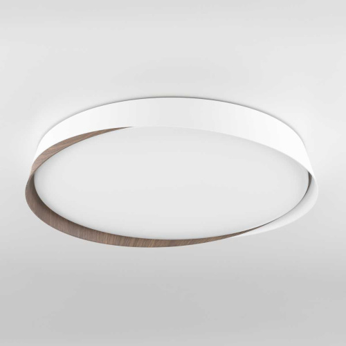 Потолочный светодиодный светильник Citilux Bonny CL754450G фото 4