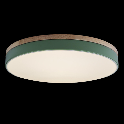 10001/36 Green Потолочный светильник LOFT IT Axel фото 2