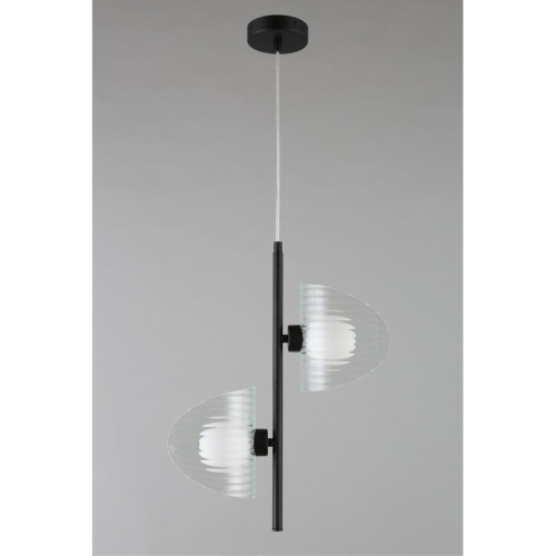 Светильник подвесной OML-52406-02 фото 4