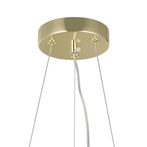 Подвесной светильник Lampit Fino TP 2002-12 GD фото 2